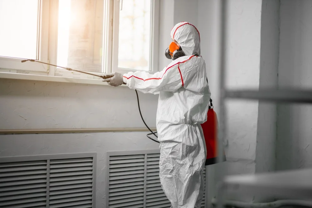 Professional mold remediation services in Tracys Landing, MD